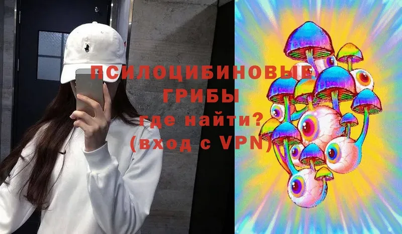 Псилоцибиновые грибы MAGIC MUSHROOMS  Инсар 